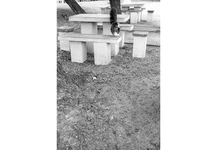 Fantasmas del Parque Rodó