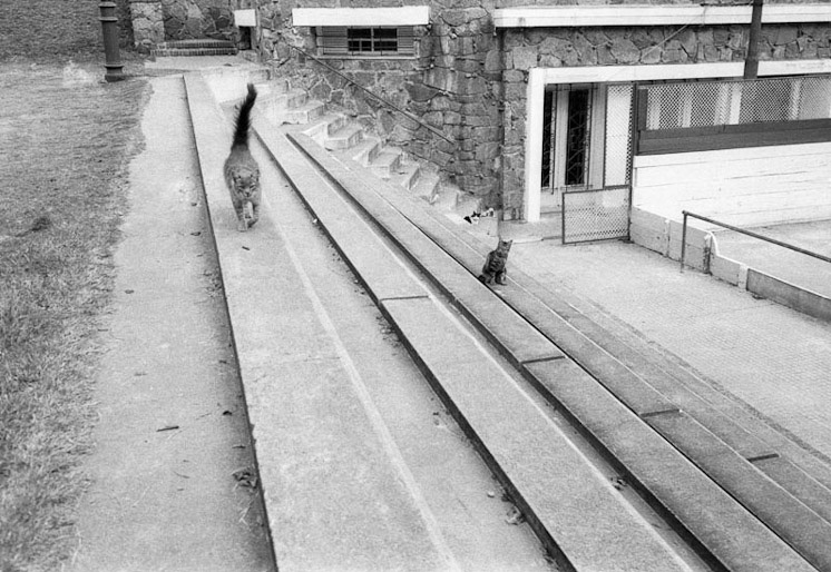 Fantasmas del Parque Rodó