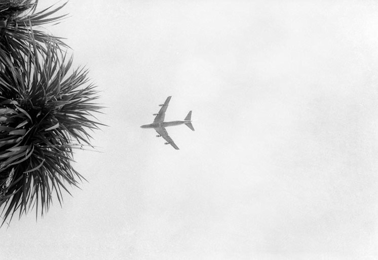 Fantasmas del Parque Rodó