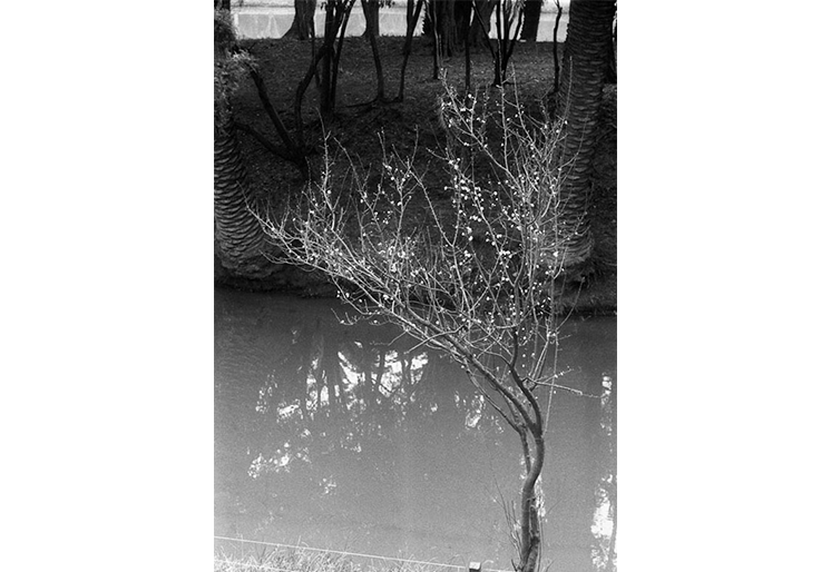 Fantasmas del Parque Rodó