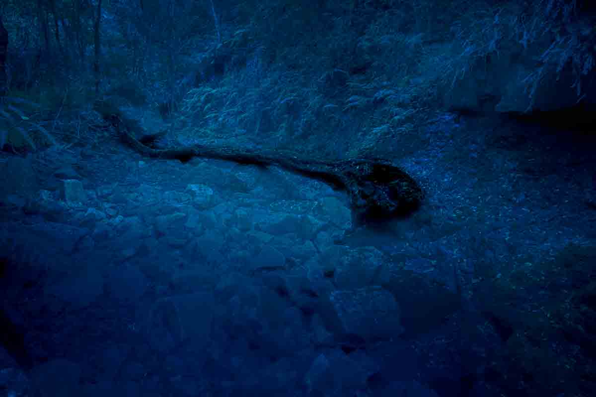 Y sólo se oía el recuerdo…