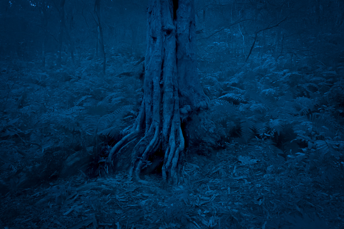 Y sólo se oía el recuerdo…