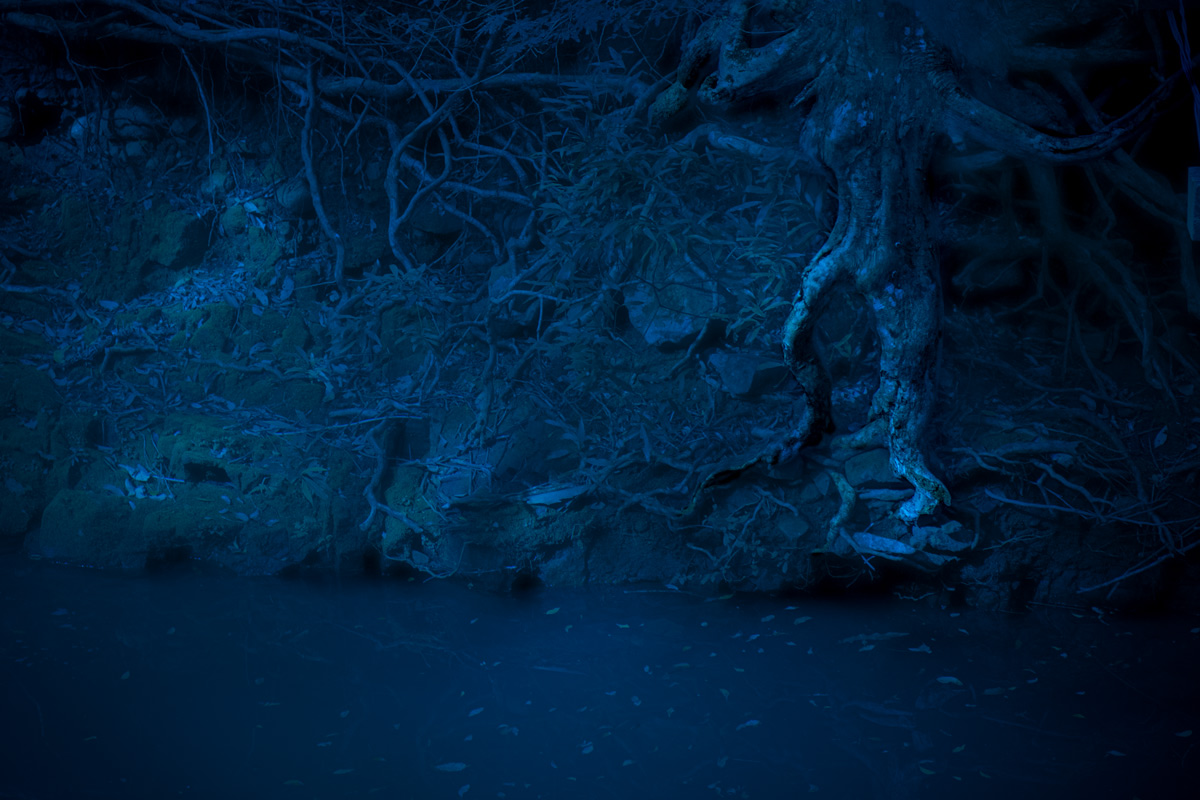 Y sólo se oía el recuerdo…